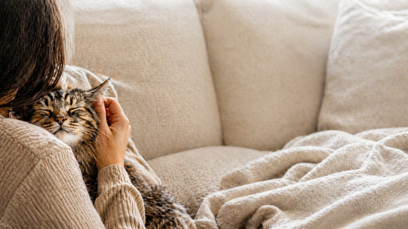 Perro y gato en una escena de bienestar para Amykus