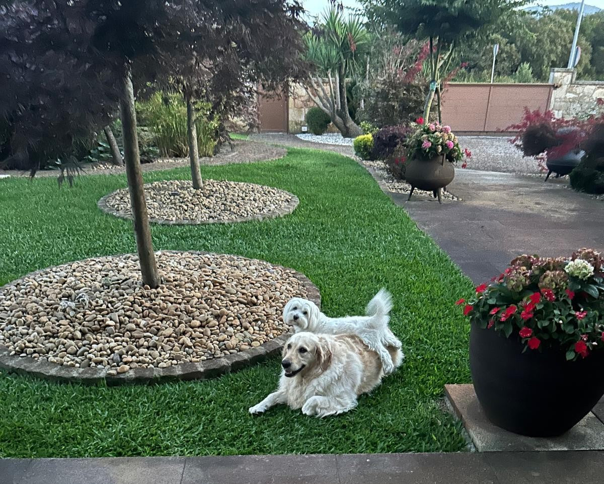 Un Amigo Fiel y un Amor que Perdura