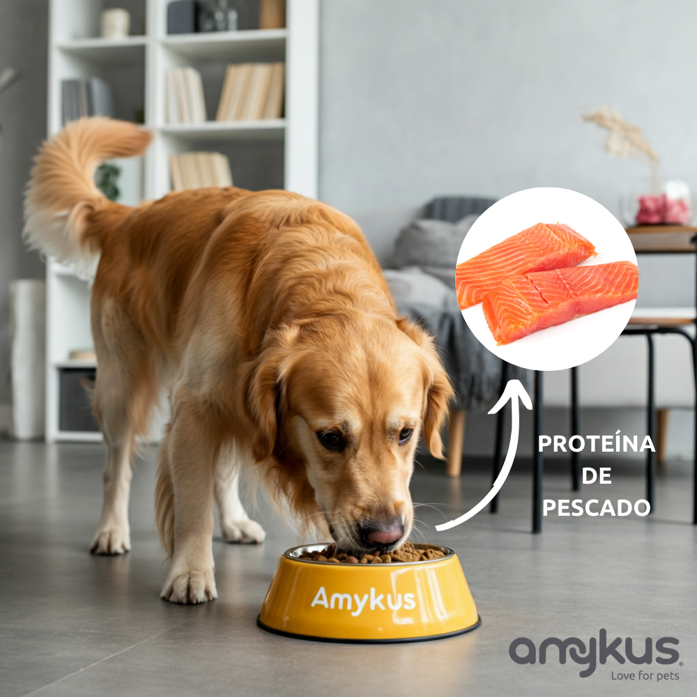 Perro junto al pienso Amykus Original Fish