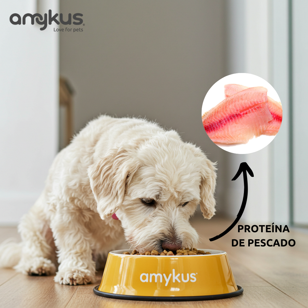 Perro pequeño junto al pienso Amykus 