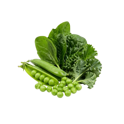 Receta vegetal de pienso Amykus para perros