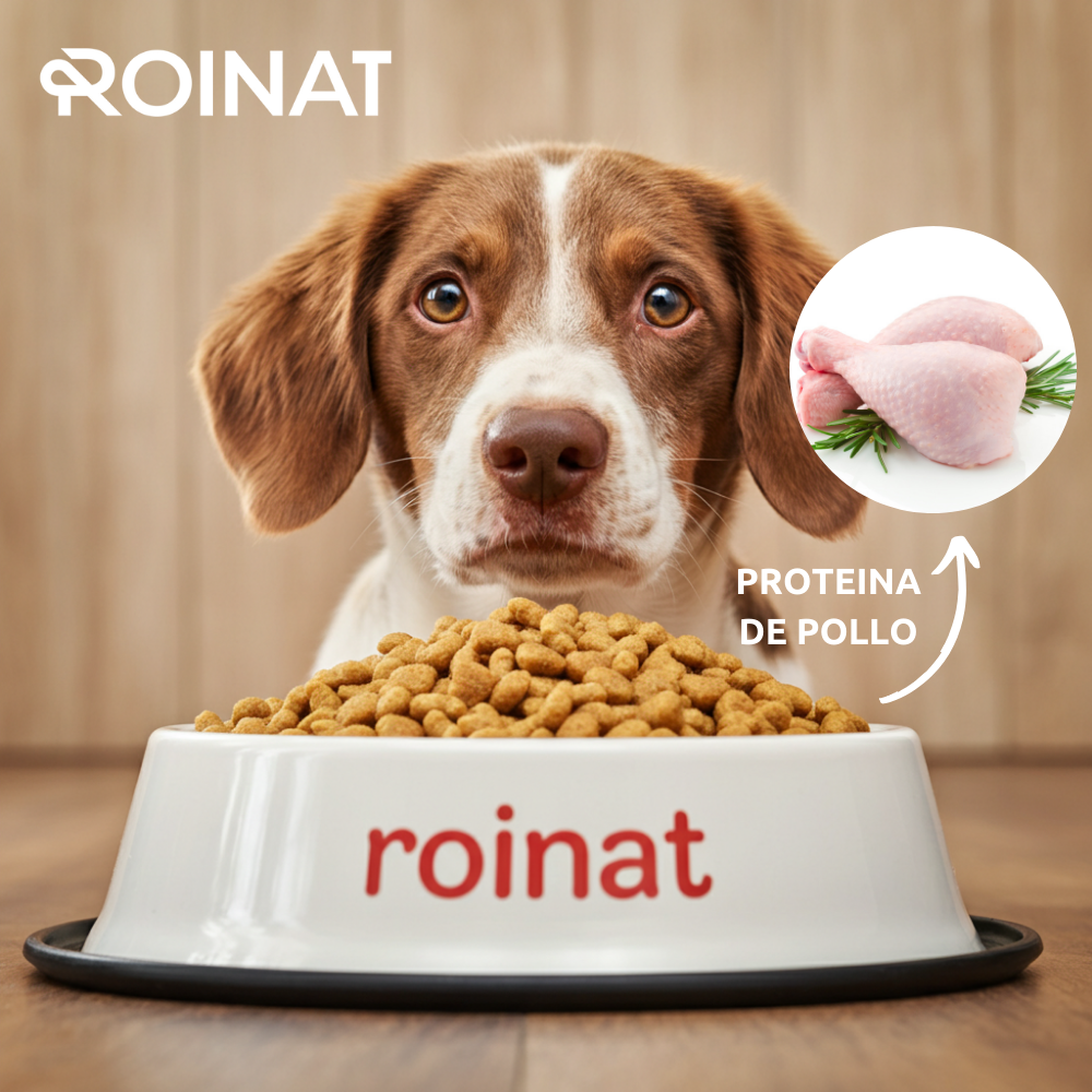 Perro junto a un cuenco de pienso Roinat Adult