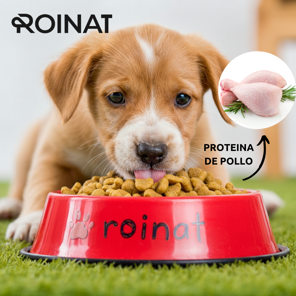Cachorro junto a un cuenco de pienso Roinat Puppy