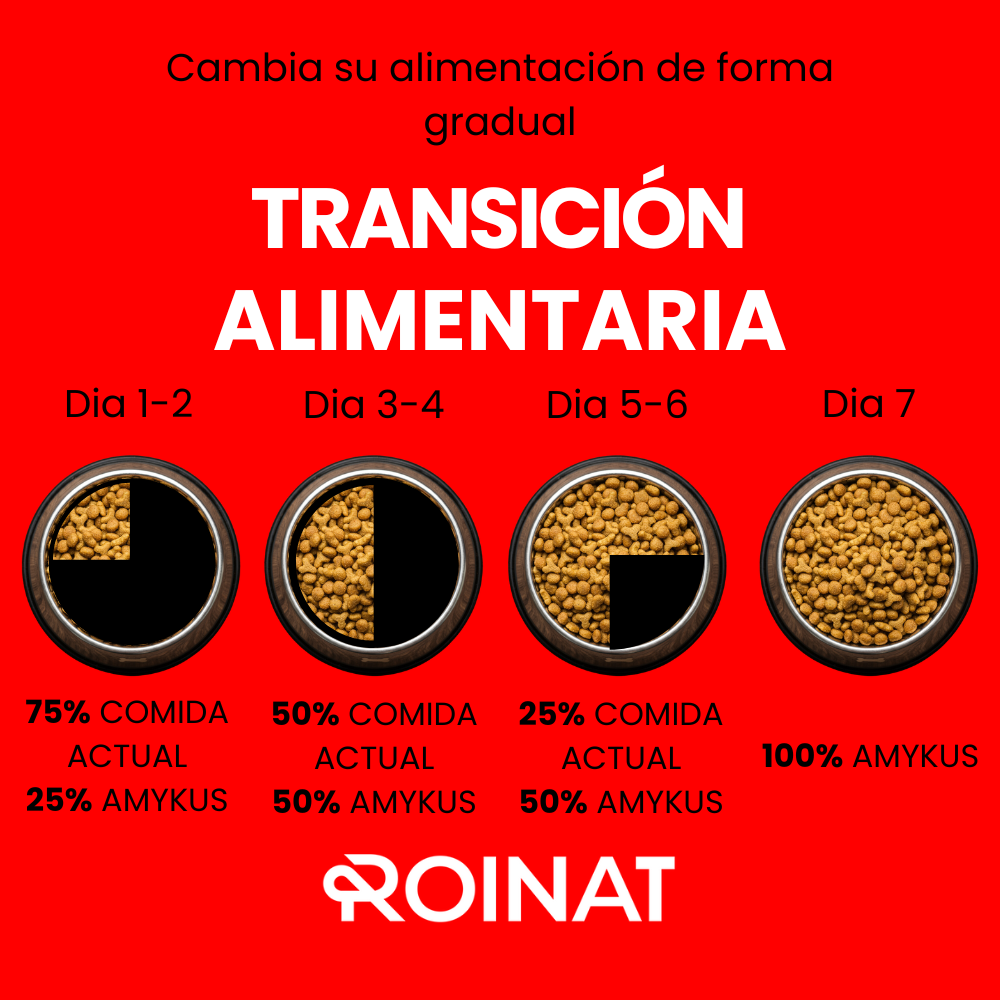 Imagen informativa de transición alimentaria para cachorros con Roinat 
