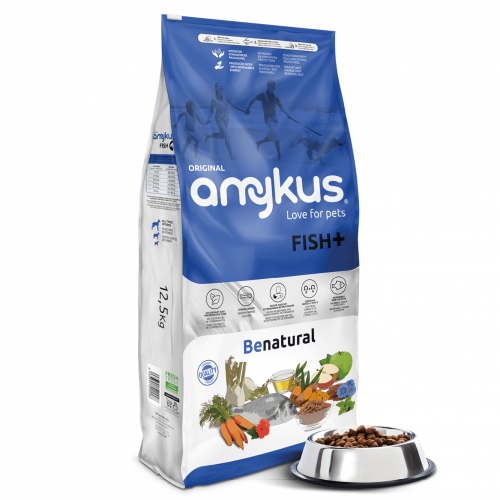 Amykus fish